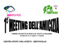 LOCANDINA MEETING FOTO copia